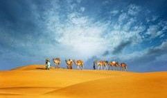 最新沙漠爆料新闻视频下载,揭秘神秘沙漠宝藏之谜